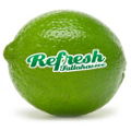 Refresh Tallahassee Logo